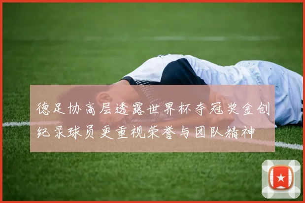德足协高层透露世界杯夺冠奖金创纪录球员更重视荣誉与团队精神